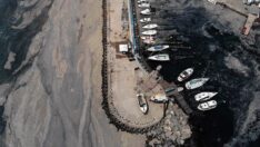 Müsilajla ‘ultrasonik’ mücadele