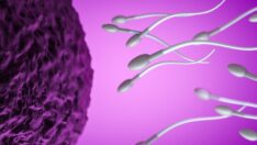 Obez ve zayıf erkekleri karşılaştırdılar: Sperm uyarısı