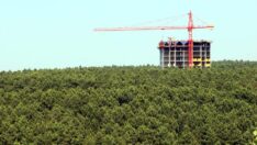 Para bitti, Hazine arazilerini parsel parsel satıyorlar