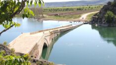 Selçuklulardan günümüze uzanan tarihi Çeşnigir Köprüsü