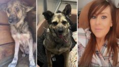 Sosyal medya Poppy’nin kaderini değiştirdi: Zonguldak’tan Londra’ya gitti  