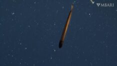 Torpido şekline sahip, nadir görülen Ejder Balığı ABD’de ortaya çıktı