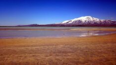 “Van Gölü’nün suyu da çekiliyor”