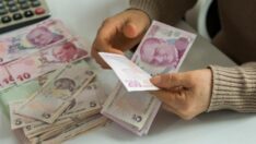 10 soruda Gelire Endeksli İç Borçlanma Senedi (GES)