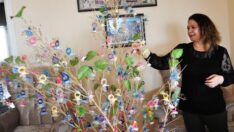 2 bin emzikle oluşturduğu ağaç ile Guinness Rekorlar Kitabı’na girmeye hazırlanıyor