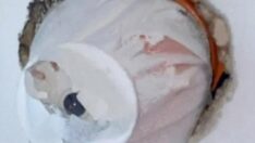 Airbnb evinde çıkan 10 adet gizli kamera dehşete düşürdü