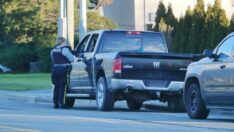 Arabanın arka koltuğunda seks sigorta şirketine patladı: 5.2 milyon dolar ödeyecekler