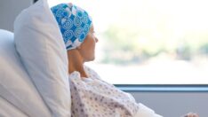 Canlı kanser hücreleri NFT olarak satılıyor