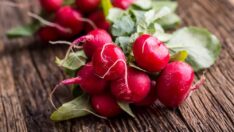 Damar sertliğine karşı çözüm turpgillerde…