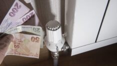 Doğalgaza bu ay zam yok