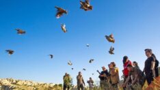 Gomeda Vadisi’nde 200 kınalı keklik salındı