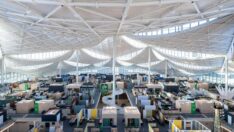 Google’dan çevreci kampüs