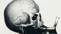 Gördüğünüz ilk şey hayalinizdeki işi ortaya çıkarıyor