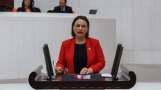 Hollanda’da ‘Türk Sağlık Fuarı’ fiyaskosu!