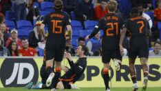 Hollanda’ya galibiyeti Wout Weghorst getirdi! 90+4’te müthiş kafa golü…