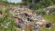 Karadeniz sahilinde 300 metrede 80 kilogram çöp toplandı