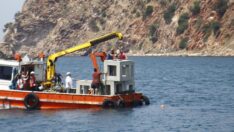 Marmara’da balıklara yeni yuva