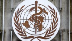 Maymun çiçeği virüsünün ismi değişiyor