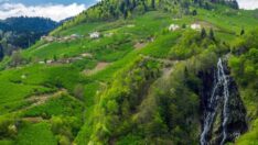 Ordu’da 20 yeni şelale keşfedildi