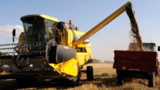 Rekoltesi düşen buğdayda çiftçi 2 bin TL prim istiyor