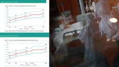 Sağlık Bakanlığı istatistiklerinde Covid-19 salgın sayılmıyor