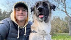 Sinop’tan ABD’ye… ‘Helly’ artık yeni yuvasında