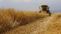 Tarımda motorin 10 lira olsun