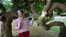 ‘Toprak Dede’nin mirası ağaç müzesi ziyaretçilerini büyülüyor