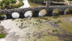 Tunca Nehri adeta bataklığa döndü