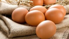 Yumurta üreticilerine Rekabet soruşturması