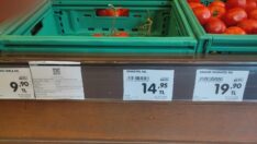 Bahçeden 3.5 liraya çıkan domates markette 15 lira