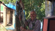 Boyundan büyük balık yakaladı