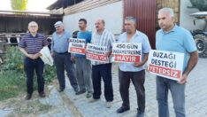 Çiftçiler isyan etti: “İnekler beslenemediği için gebe kalamadı”