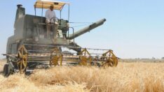 Çiftçilere buğday için 1 TL, arpa için 0,50 TL prim desteği ödenecek