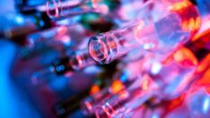 Film gibi olay… İspanya’da bir çift 29 milyon TL civarında şarap çaldı