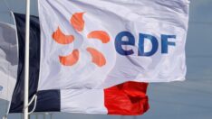 Fransa’dan 9,7 milyar euroluk kamulaştırma hamlesi