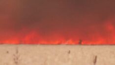 İspanya’da alevler arasından son anda kurtuldu