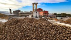 İthal şeker posasına muhtaç ettiler