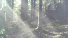 Koca Ayak’a ait olduğu iddia edilen fotoğraflar gerçek mi?