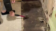 Malikanede gizli kapı bulan çift içeride ceset aradı