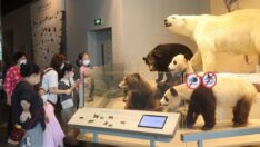 Şangay’da müzeler yeniden açıldı