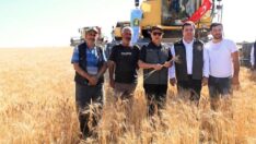 Tarım Bakanı Kirişci yeni tohumluk fiyatlarını açıkladı