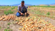 Tarıma desteği kestiler çarşı pazar yangın yeri