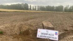 Tarlasını süren çiftçi Roma dönemine ait eser buldu