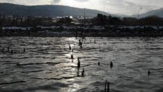 Van Gölü ve çevresi doğal sit alanı ilan edildi