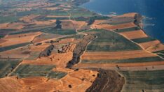 1.2 milyon arazi bankalara rehin verildi