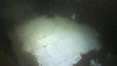 17 Ağustos 1999 depreminin izleri: Suyun altında üç katlı bina var