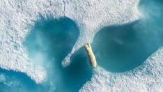 212 Photography Istanbul 6 Ekim’de başlıyor