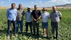 7,3 milyon TL’lik elektrik faturası gelen çiftçiler isyan etti