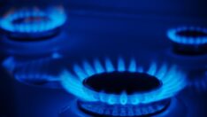 Almanya’dan doğalgaza KDV indirimi